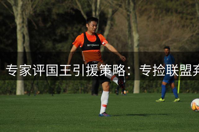 专家评国王引援策略：专捡联盟弃将赌翻身